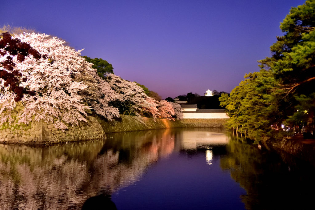 Castle and cherry trees