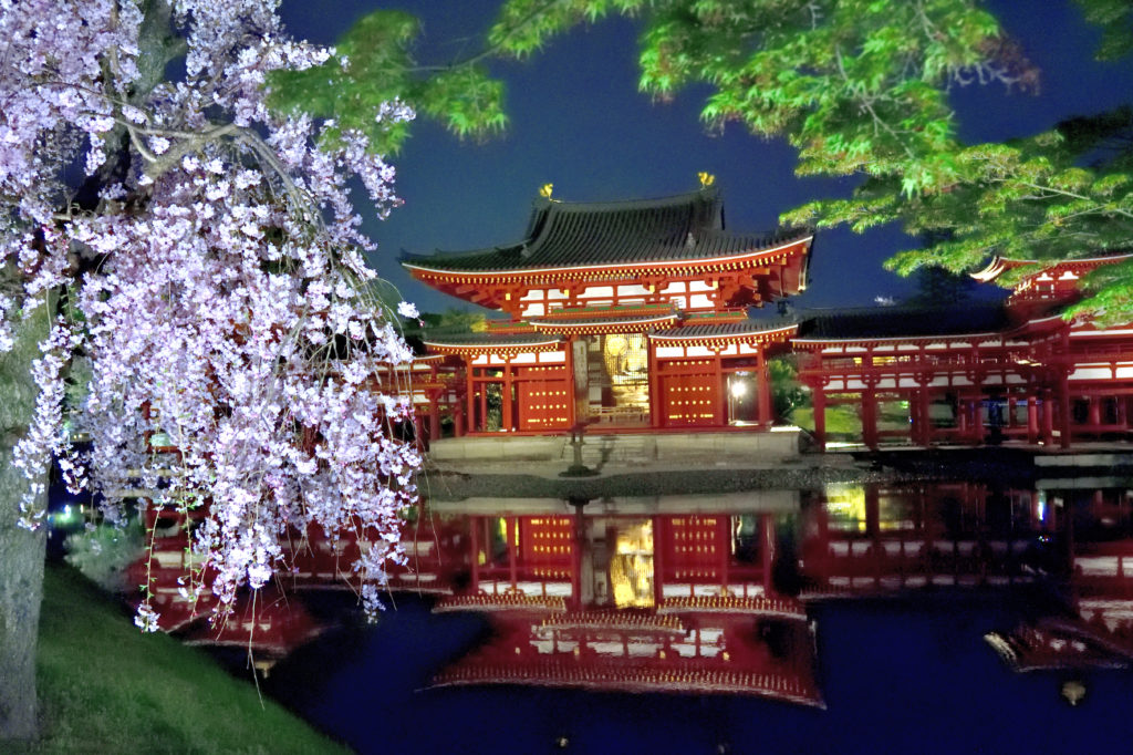 Japan, The excellent scene of **Byodoin Phoenix Hall** and cherry trees ...