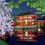 Cherry blossom and phenix hall
