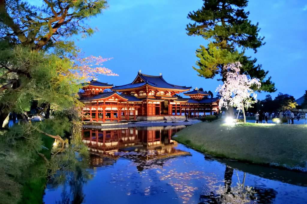 Lighting hall and cherry blossom