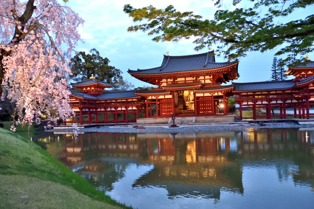 Cherry blossom and pond and capital