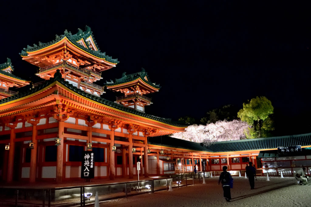 Heianshrine and cherry tree