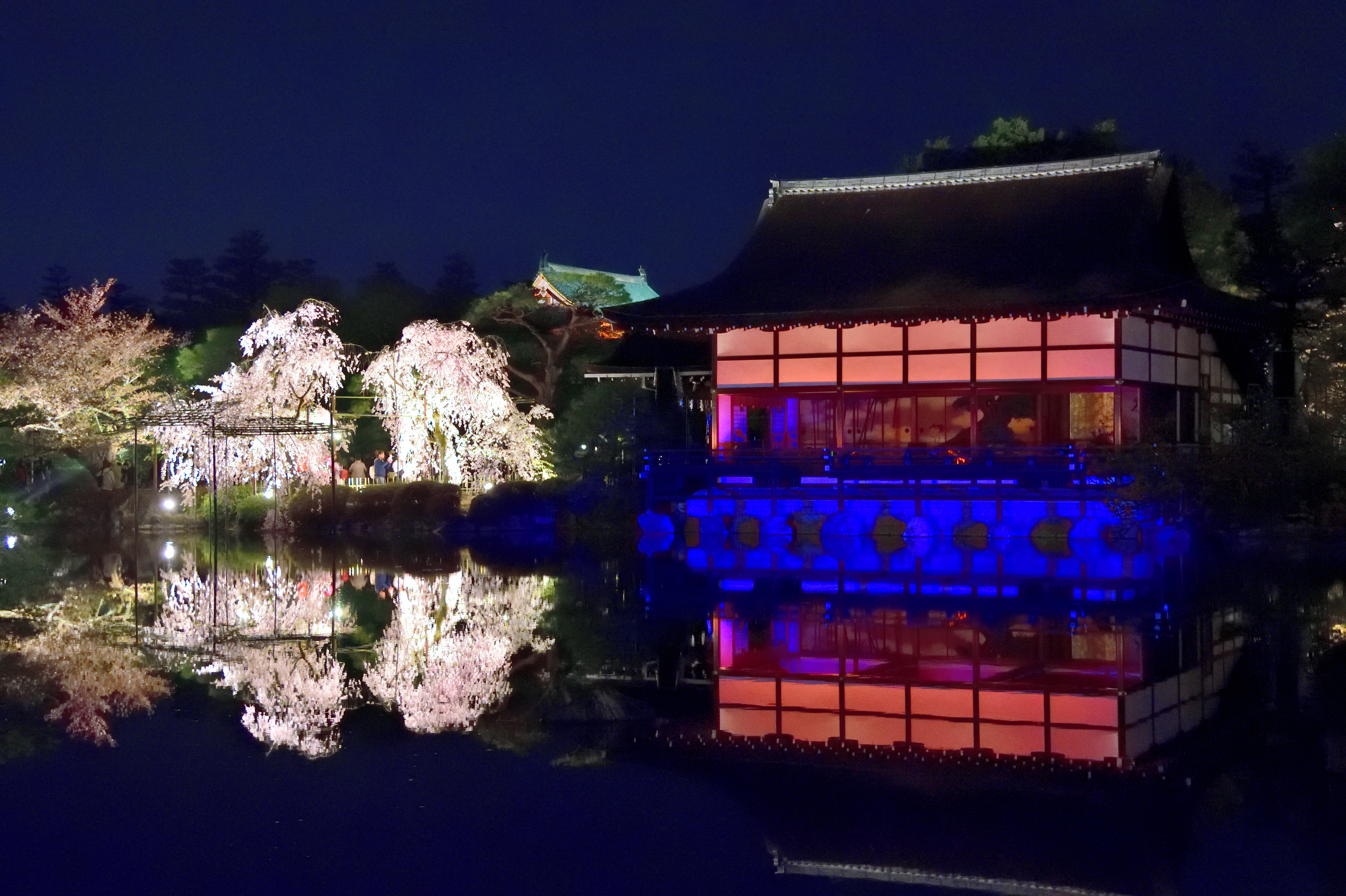 Stage and cherry tree