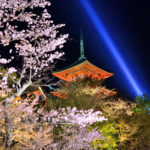 Sakura and blue light