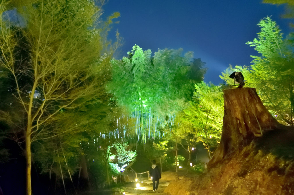 The walking people on the street in Bamboo forest