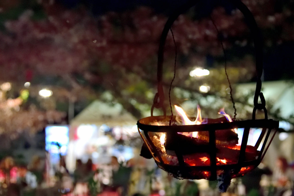 Bonfire in Maruyama park