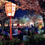 Paper lantern lighting in Maruyama park