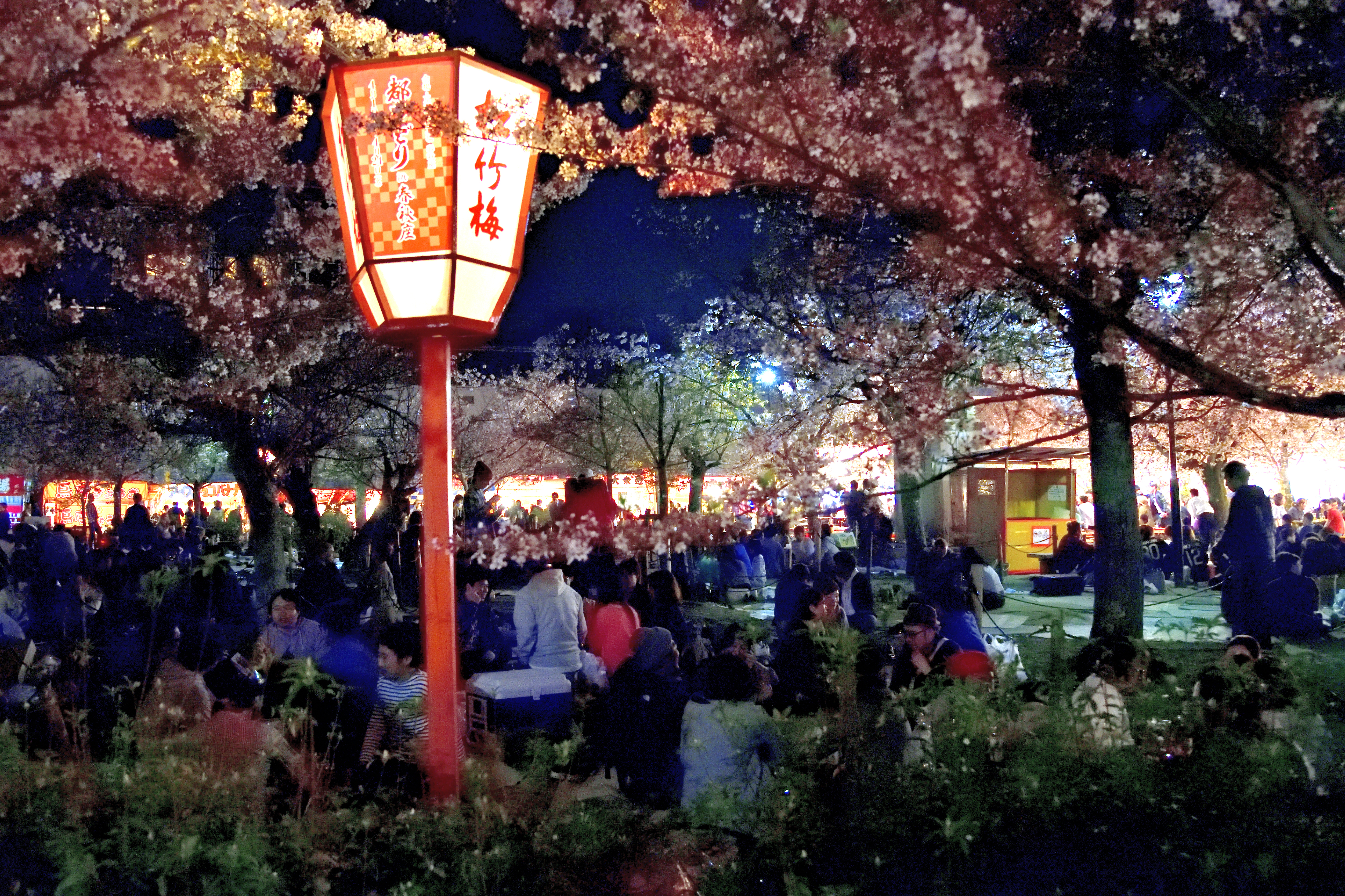 Paper lantern lighting in Maruyama park