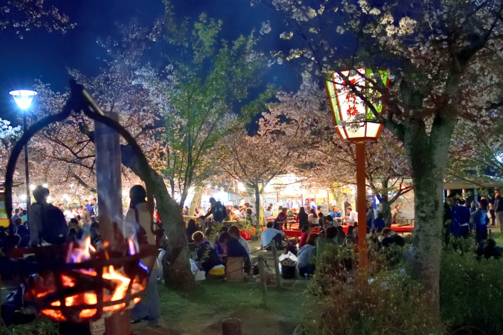 Eating and drinking under the cherry tree