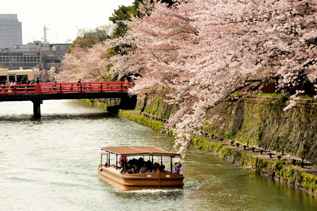 Boat tour in Okazaki canal