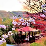 Small break spot with red roof in Hanamiyama