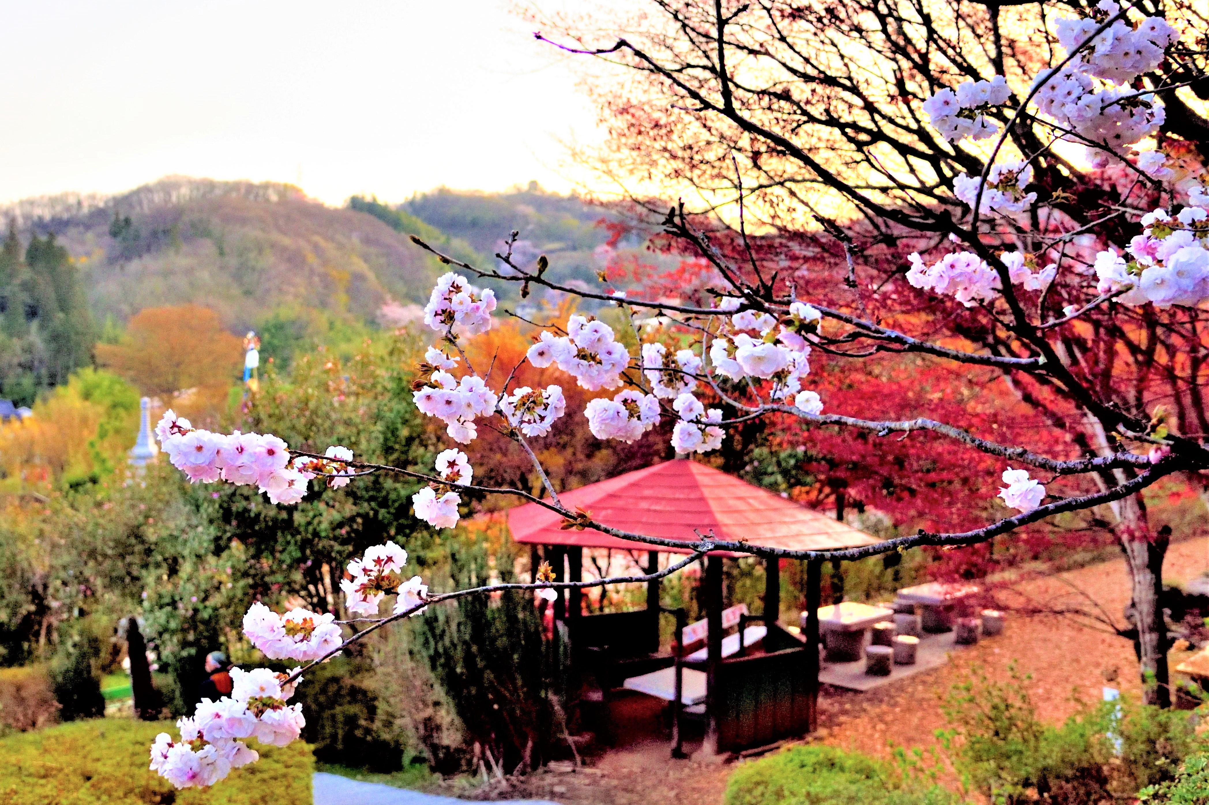 Small break spot with red roof in Hanamiyama