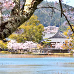 Daikakuji temple and Osawaike pond