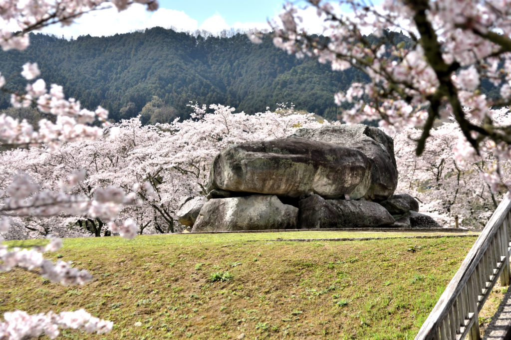 Ishibutai ancient tomb surround by cherry trees