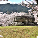 Ishibutai ancient tomb surround by cherry trees