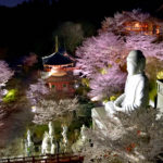 Buddha and stone statues illuminated in Tsubosaka temple