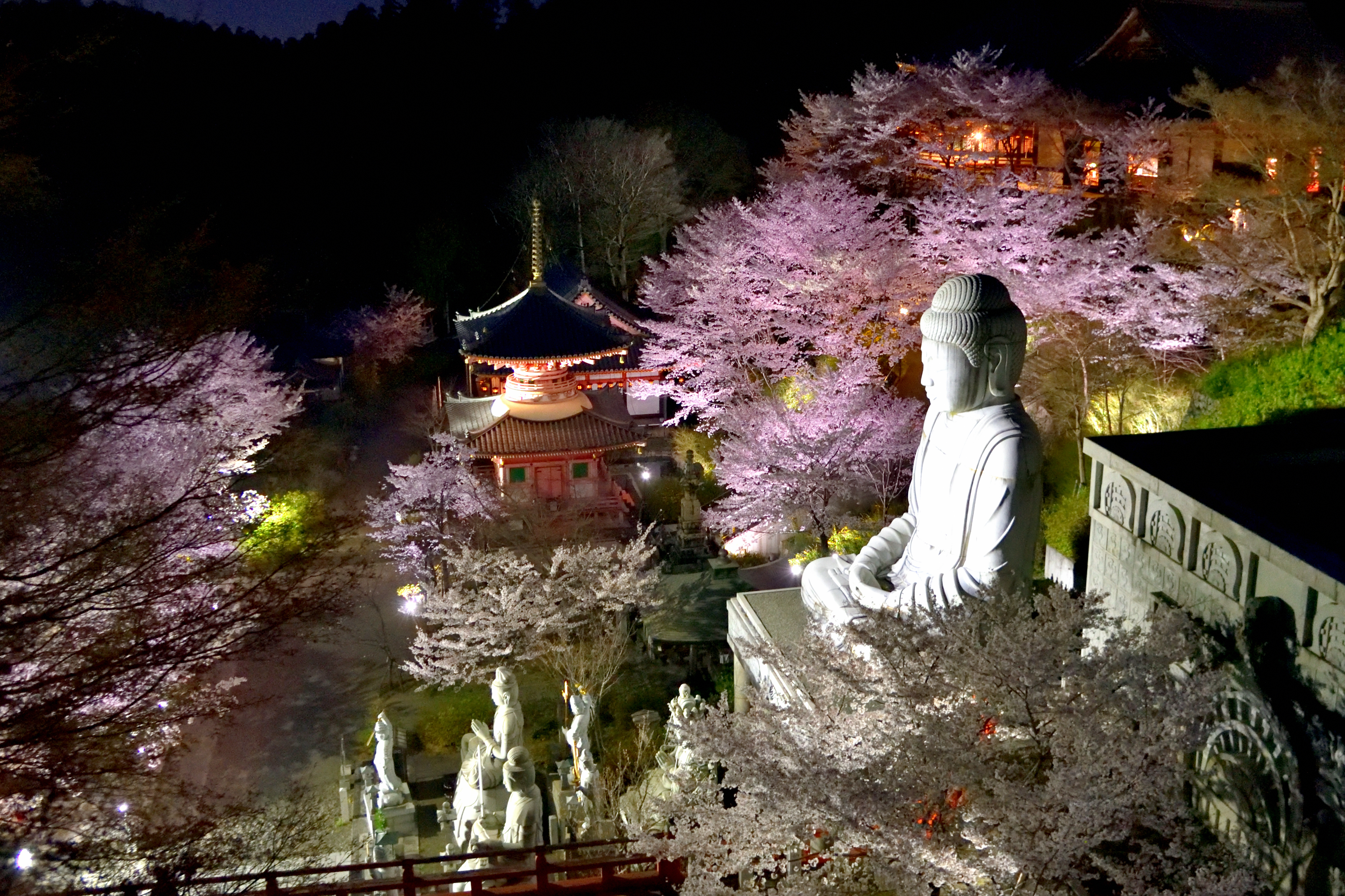 Buddha and stone statues illuminated in Tsubosaka temple