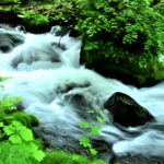 Oirase stream