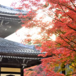 Nanzenji and autumn leaves