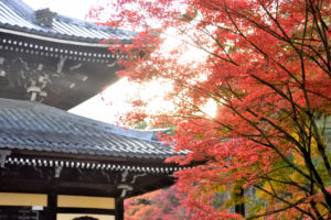 Nanzenji and autumn leaves